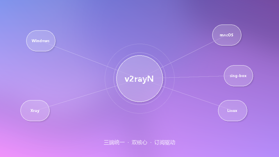 v2rayN 跨平台网络架构示意
